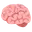 🧠